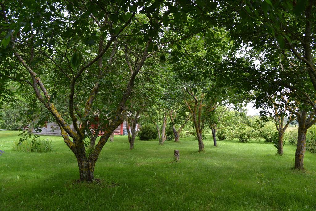 فندق Toomalouka Tourist Farm المظهر الخارجي الصورة